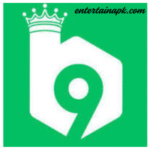 B9 Game