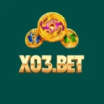 X03 Bet Game