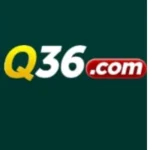 Q36 Game