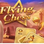 Flying Chess Game