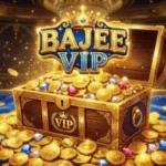 Bajee Vip