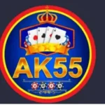 AK55 Game