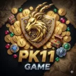PK11 Game