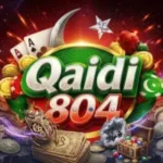 Qaidi804.Bet Game