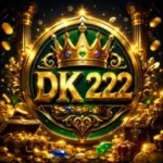222RS Game